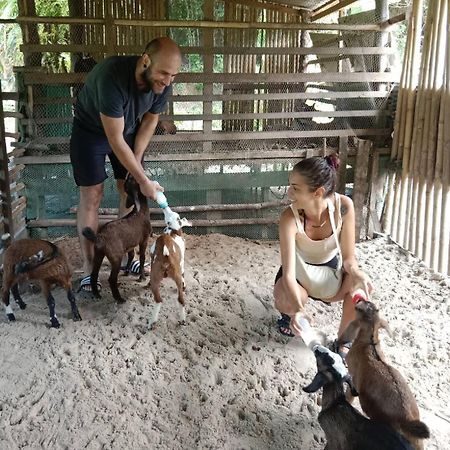 Yaoisland Resort And Farm Ko Yao Eksteriør bilde