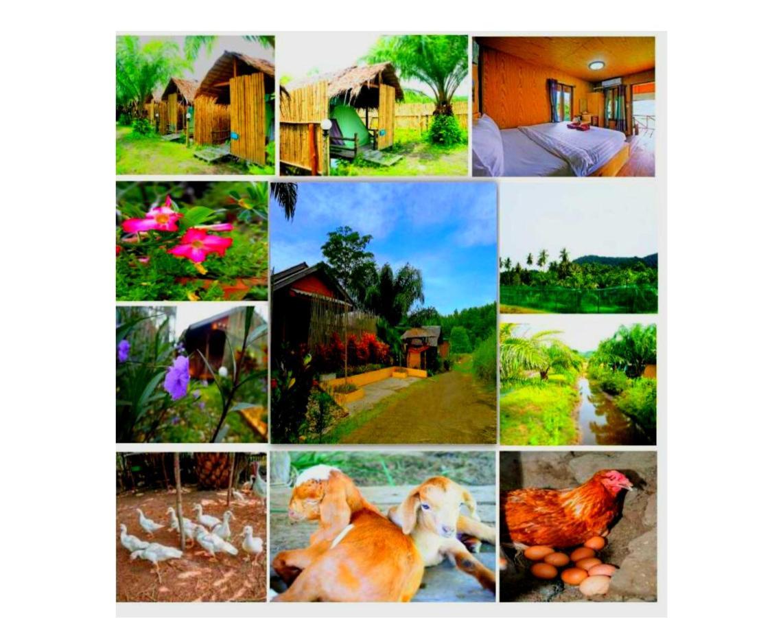 Yaoisland Resort And Farm Ko Yao Eksteriør bilde