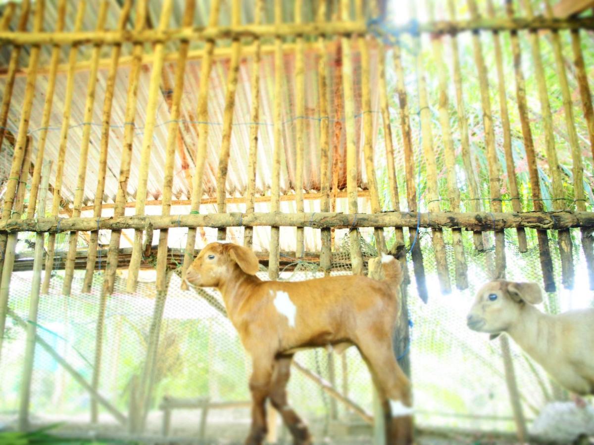 Yaoisland Resort And Farm Ko Yao Eksteriør bilde